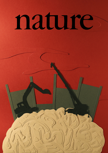 An image constructed of paper and cardboard depicting a wall being built between a brain and surrounding blood. The image is intended to replicate a cover of the journal Nature. 